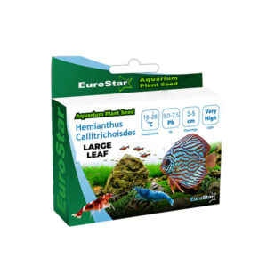 EuroStar Bitki Tohum Large Leaf Base Plant-10 ADET